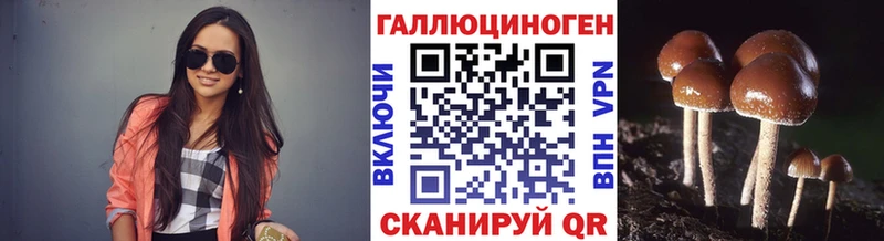 закладка  Межгорье  Псилоцибиновые грибы Psilocybe 