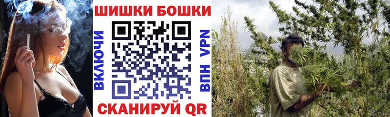 Каннабис планчик Межгорье